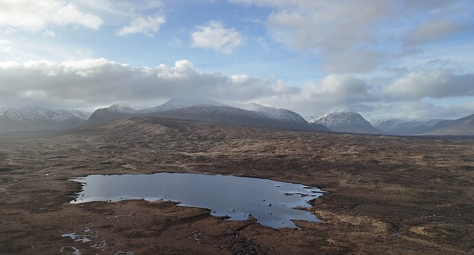 2604d9ab-de09-4a7e-842d-c1bf8af1fbe6_img_0725