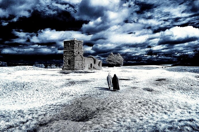 53021204242_9a203534f3_c