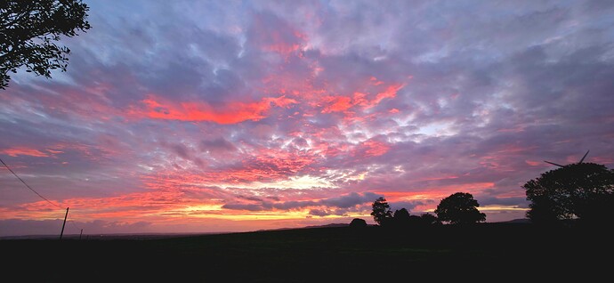 968a52c8-e7bb-4b72-9897-733bbf6d42c3_20251005_1