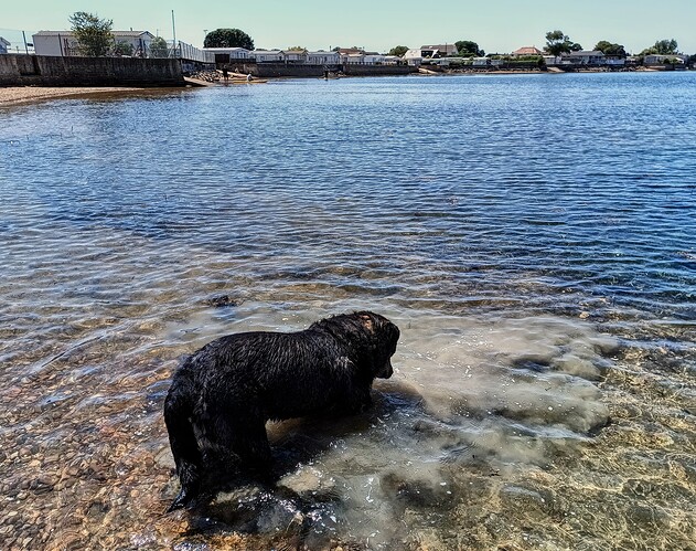 IMG_20250711_131701_DRO-EDIT