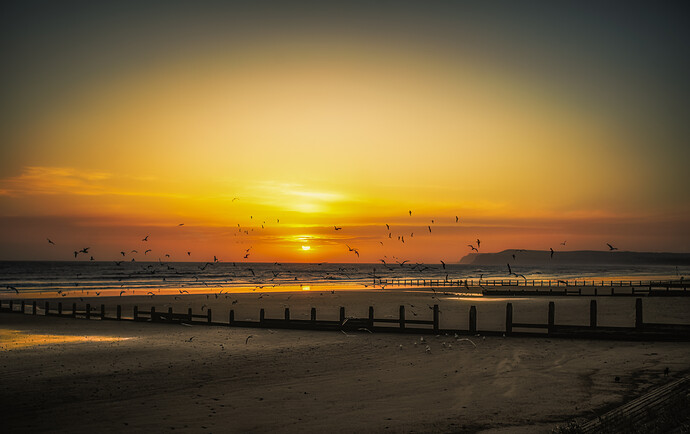 DSC06750-Edit-Edit-Edit-Edit