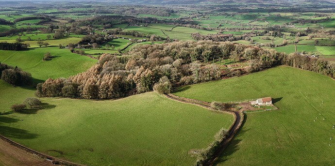 5b007507-320d-4510-b538-31a6339eac1b_dji_202603