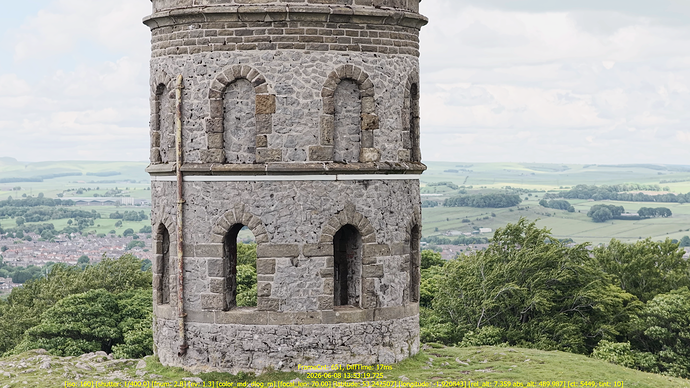 tower-with-trees