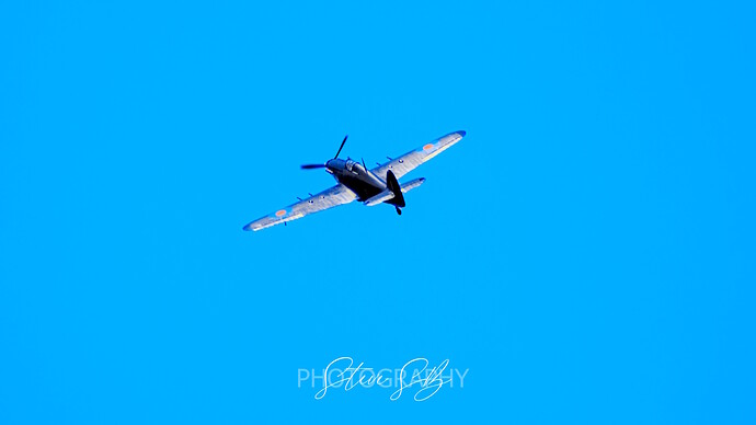 DSC_3279_01
