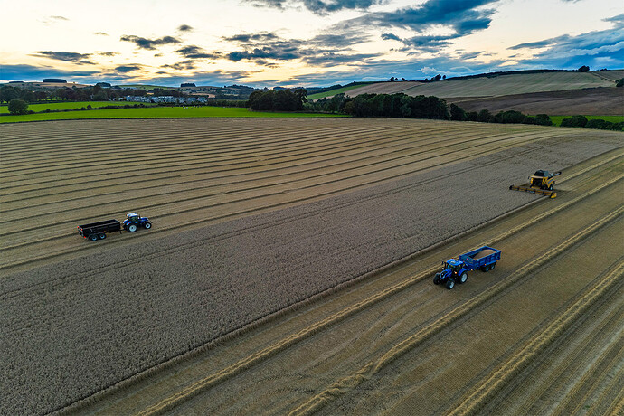 Dru_JCP_tractors01