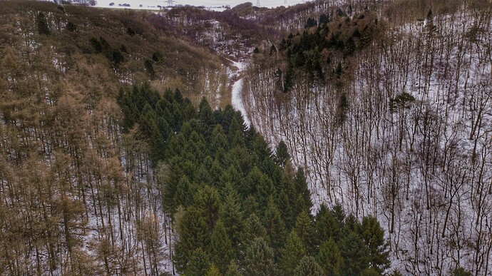 DJI_0010-01-01
