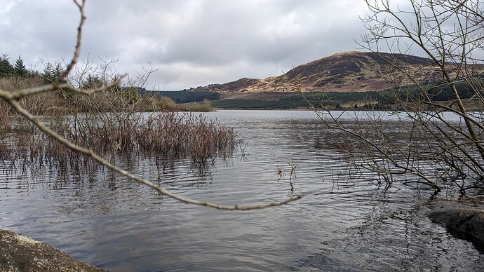 PXL_20240409_113242742.MP