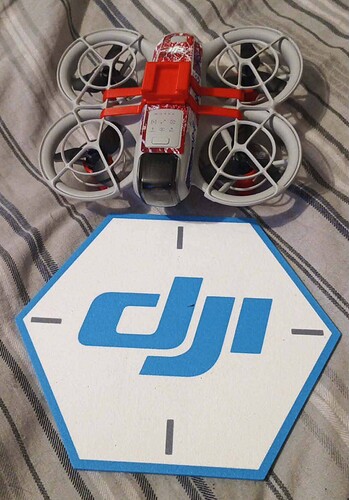 FB_IMG_1771057535645