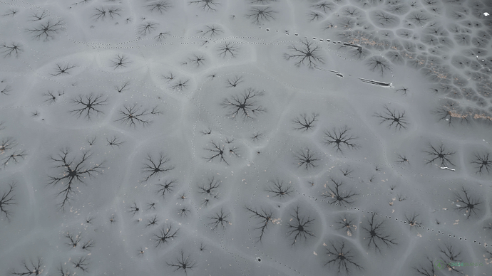 vlcsnap-2022-12-13-13h01m48s894