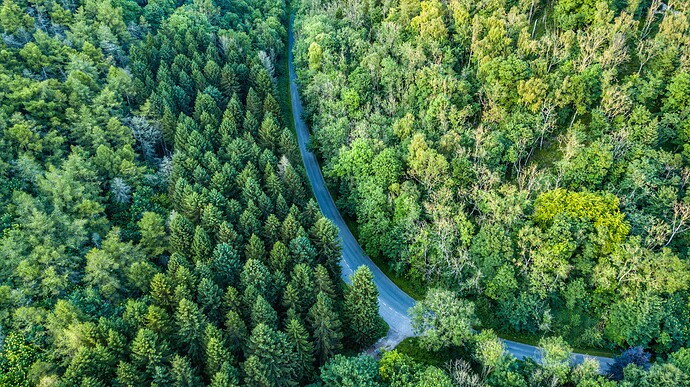 DJI_0106-01