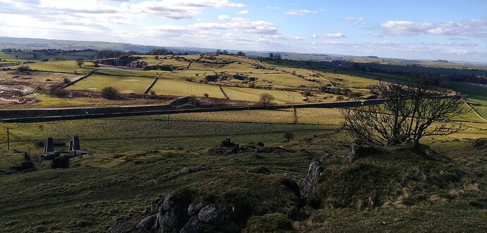 IMG_20220306_135225-01