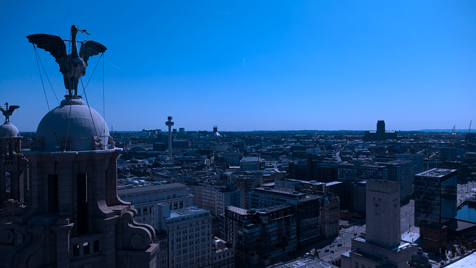 Cathedrals from Liver Building
