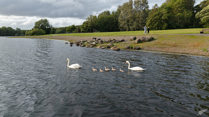 ITCuz_Strathclyde-Loch_6