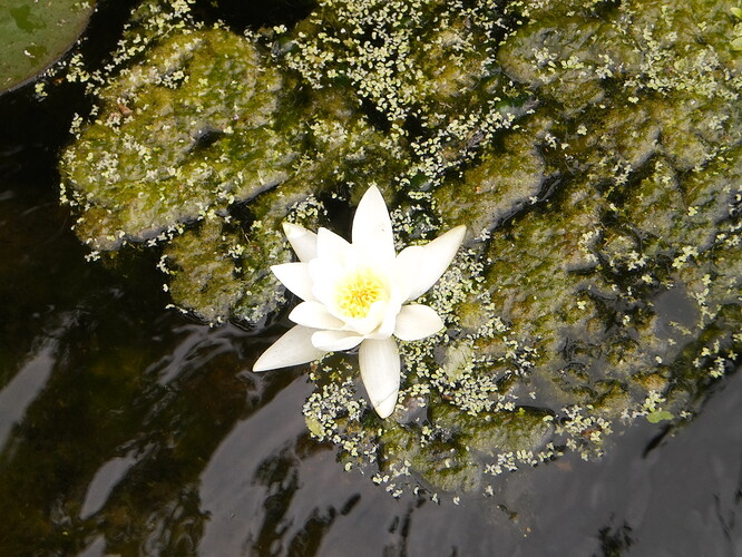 PICT0070