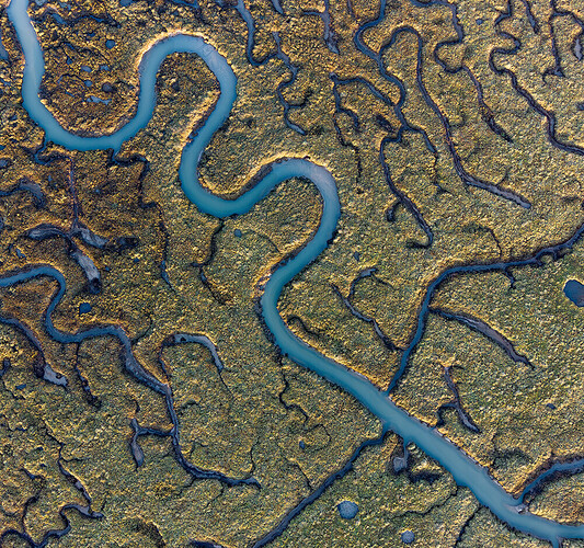 90f8870c-af0b-4a0a-b734-26edf6f1805a_river-2