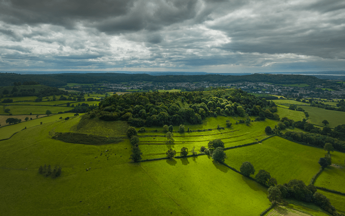 d1b89847-ddb4-4679-8851-4dcf93a99c07_img_1708