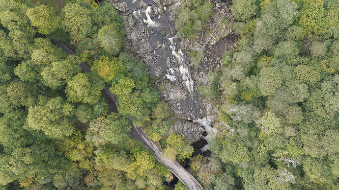 9bc9558d-20f7-4dec-8374-ee3e220576e0_dji_202509