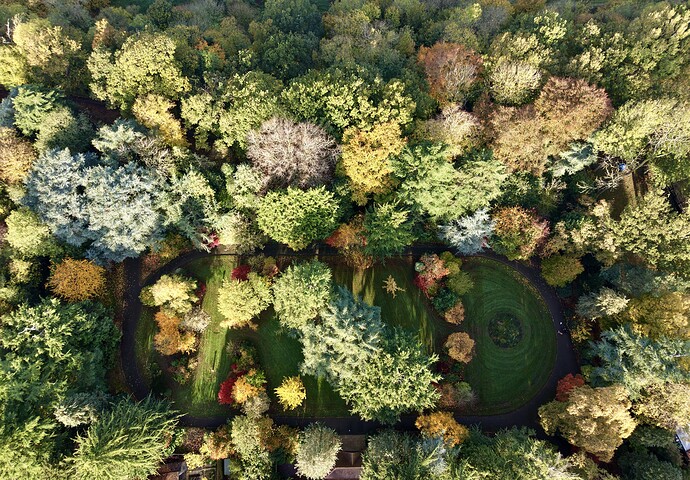 dji_fly_20251030_084734_0340_1761858025017_photo