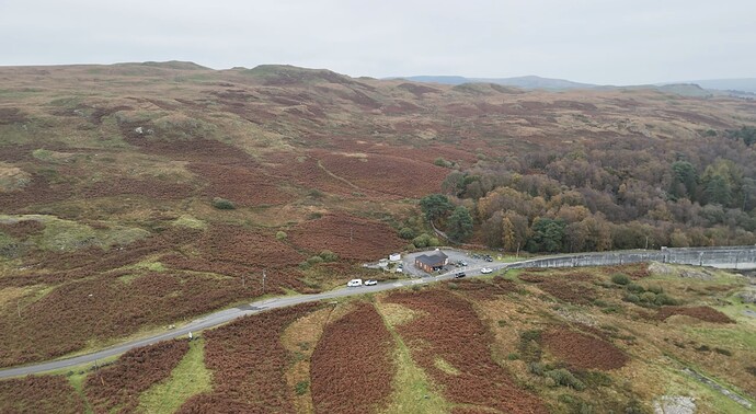 07c8e6e0-f677-47d1-87e6-86bdda02aa4a_img_0893