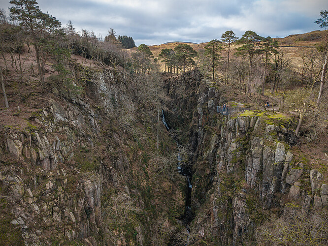 DJI_20250317082902_0351_D