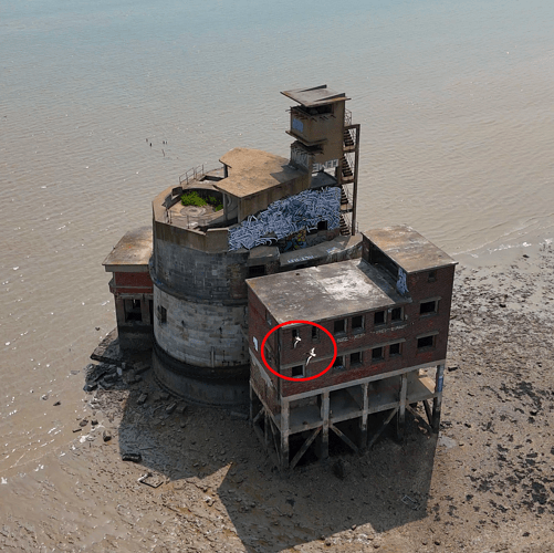 Screenshot 2025-06-04 at 09.58.58