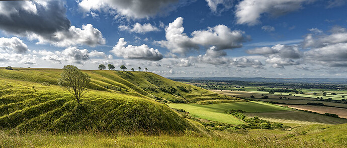 318e0266-a16f-4bd4-b267-f548cb75265d_5393062372