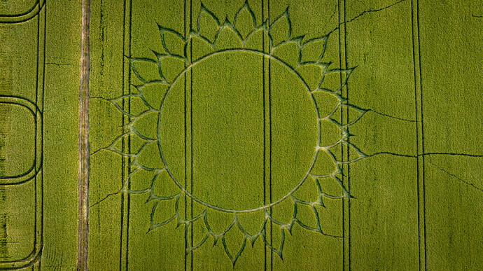 crop circle 1