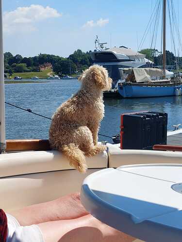 WhatsApp Image 2026-02-17 at 10.08.01 (2)