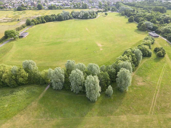norman park 3