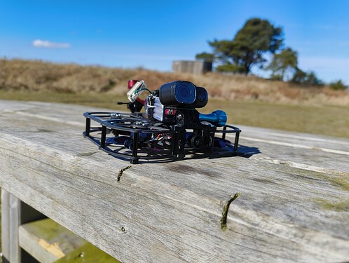 IMG_20250325_120201664