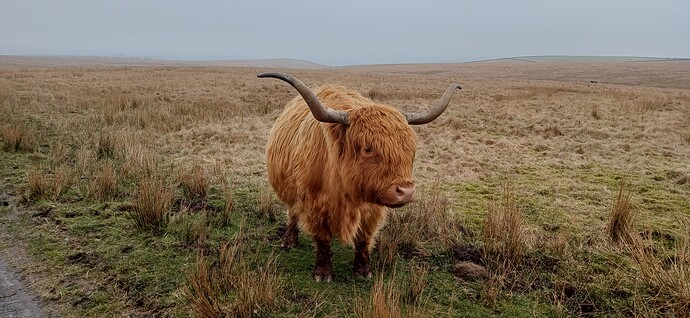 20260308_143055_Original