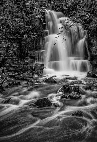 DSC06711-Edit-Edit-Edit-2