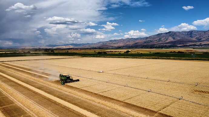 We farm here in Utah. This was the other day, just getting in the last of the wheat harvest before the rain. ISO 100 f2.8