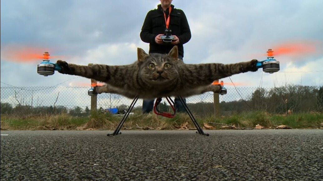 Flying cat drone? General Drone Discussion Grey Arrows Drone Club UK