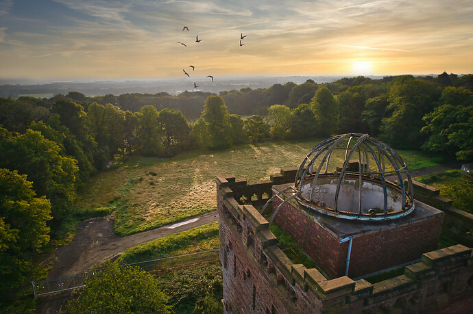DJI_0184 college pigeons