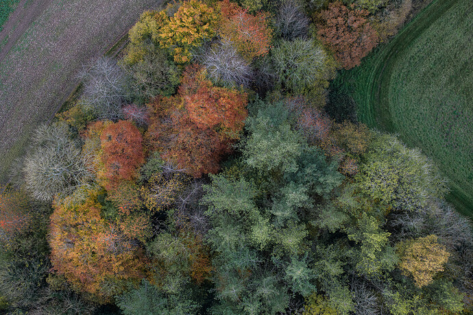 DJI_20251102163626_0023_D LR_1600