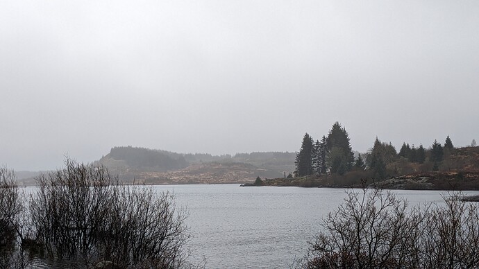 PXL_20240409_104117001