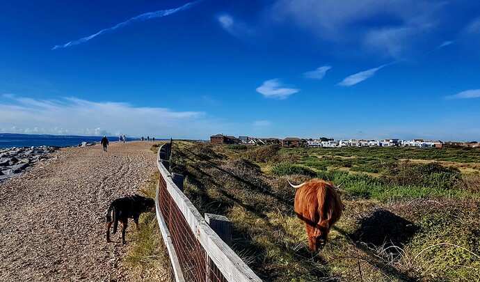 IMG_20211102_104810_HDR