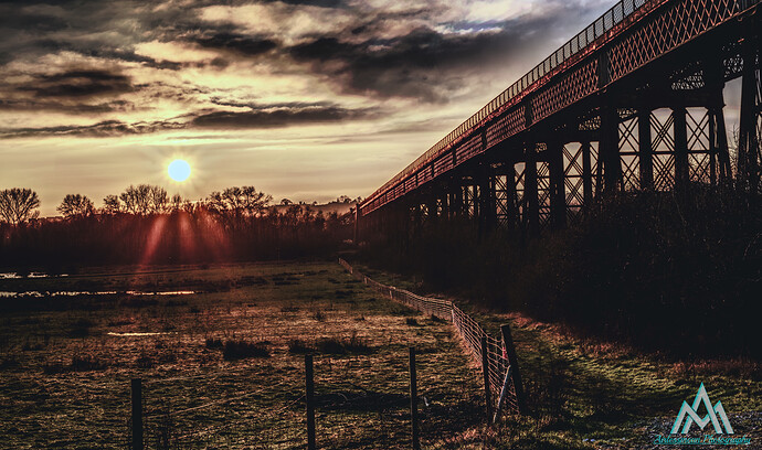hiding by the toepath