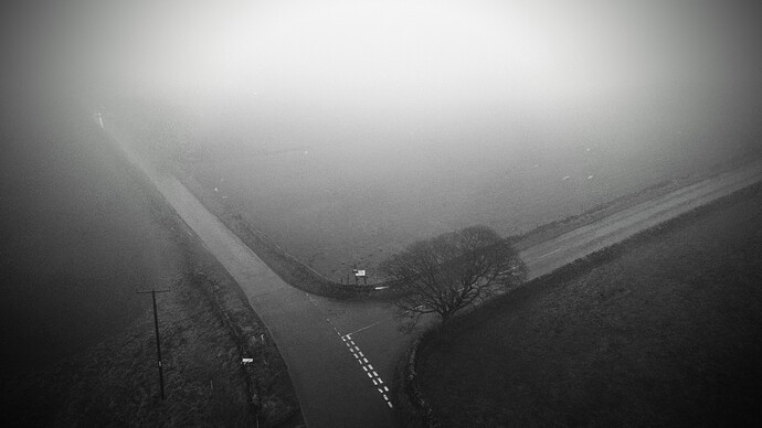 DJI_0130