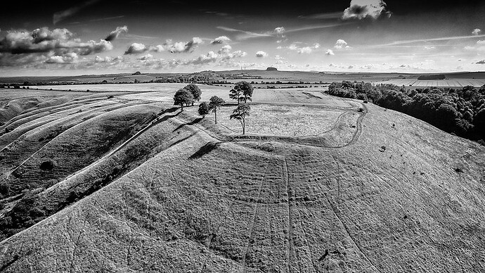 1278e7b7-e77a-4da0-bb53-7999114eec70_5393671407