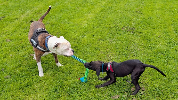 PXL_20250801_134737511