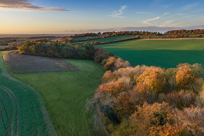 DJI_20251102162028_0005_D LR_1600