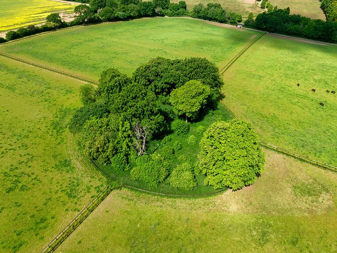 20250523164103_DJI_0617_HDR_Edit