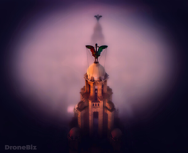 LIVERBIRD