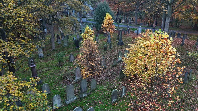 DJI_20251107160044_0567_D