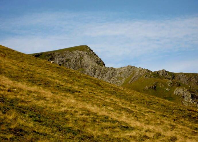 IMG_2590 (2)