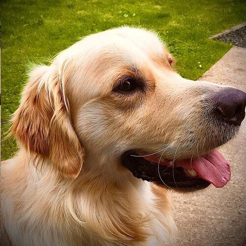 happy (2024_03_03 15_12_34 UTC) (2)