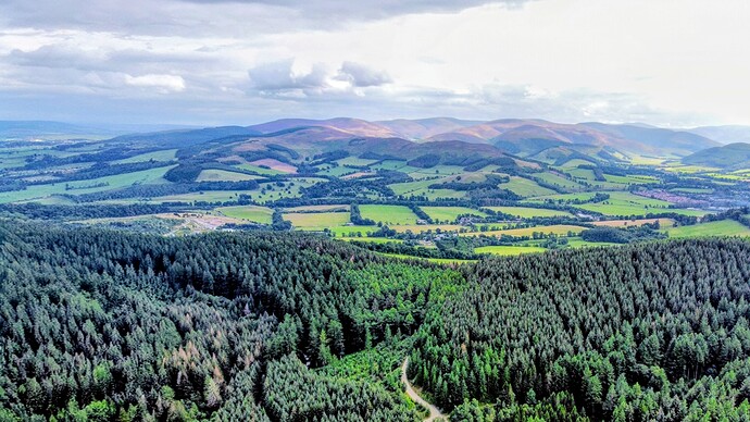 dji_fly_20250729_171058_462_1753805468345_photo_optimized~2