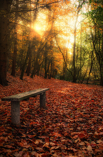 DSC06891-Edit-Edit-Edit